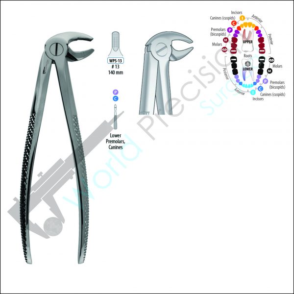 EXTRACTION FORCEP